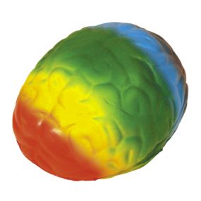 Colorful Rainbow Brain-Shaped Stress Toy for Pride