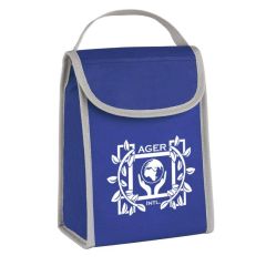 lunch bag with carrying handle