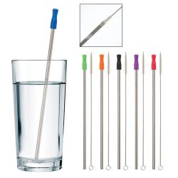 Stainless Steel Straw with Wire Cleaning Brush